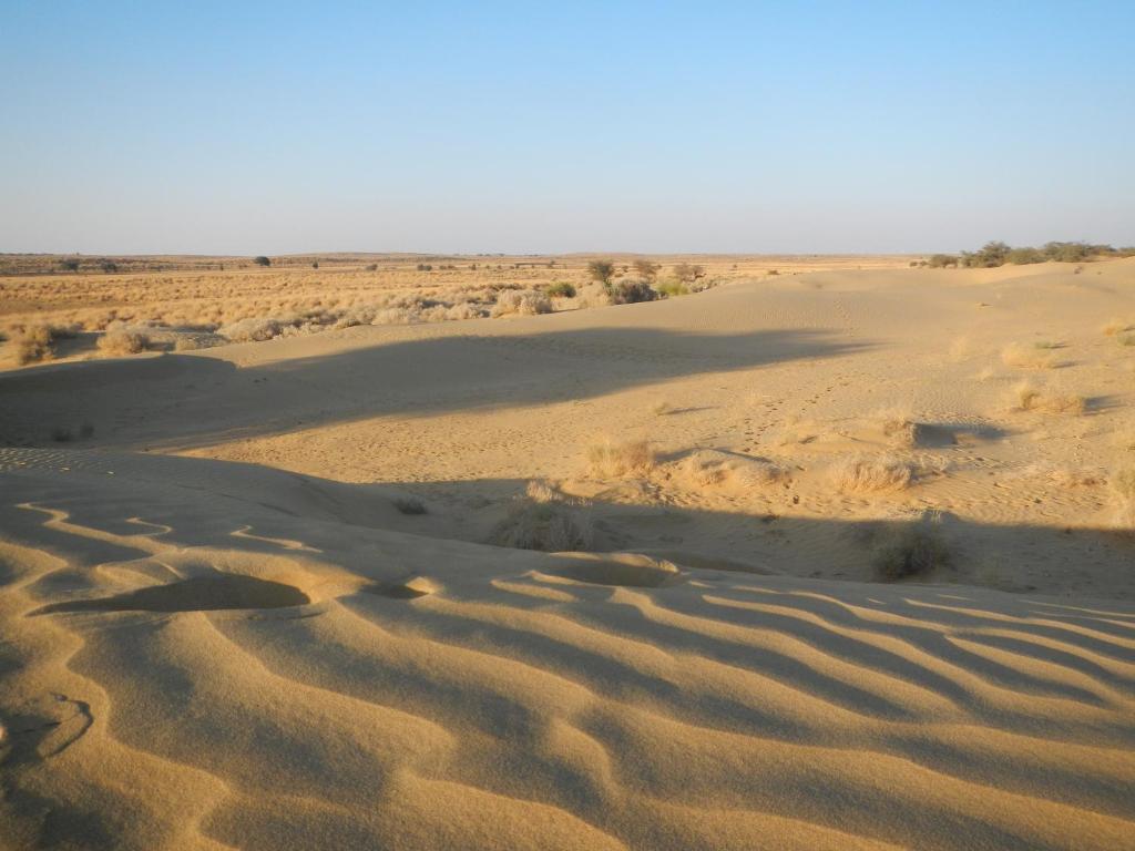 Hotel Renuka Jaisalmer Exterior foto